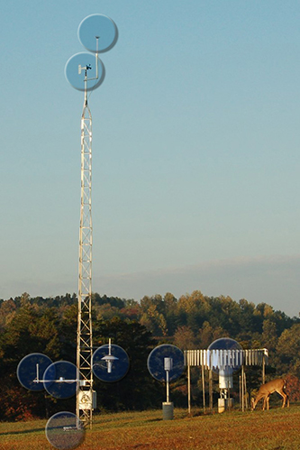 UT Arboretum Tower